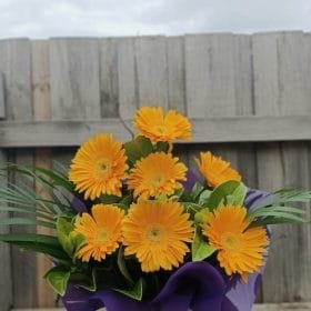 Yellow gerberas box