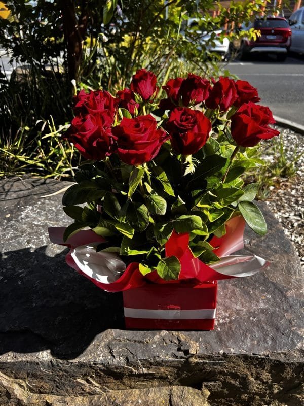 Dozen Red Roses Arrangement